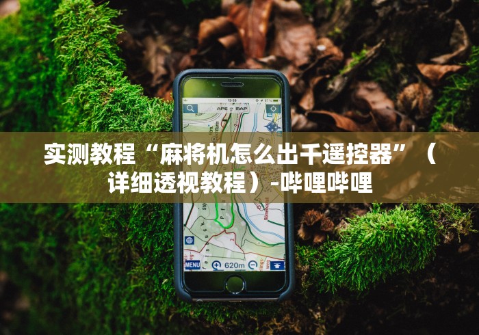 重大来袭“麻将控牌器免安装教程”(其实是有遥控) 重大来袭“麻将控牌器免安装教程”(其实是有遥控)