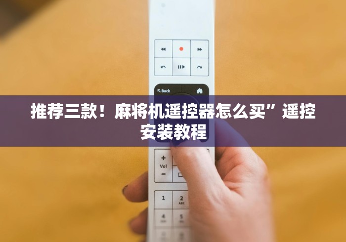 【第一攻略】“麻将机改装控牌器”附遥控脚本 【第一攻略】“麻将机改装控牌器”附遥控脚本