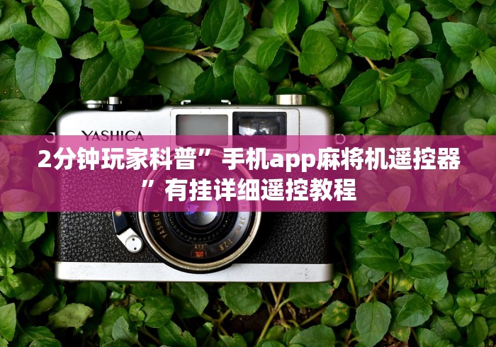 2分钟玩家科普”手机app麻将机遥控器”有挂详细遥控教程