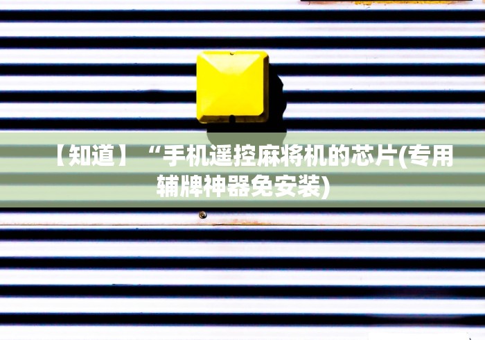 安装程序教程!新款麻将机免安装麻将桌程控器”作弊挂(辅助遥控+教程)