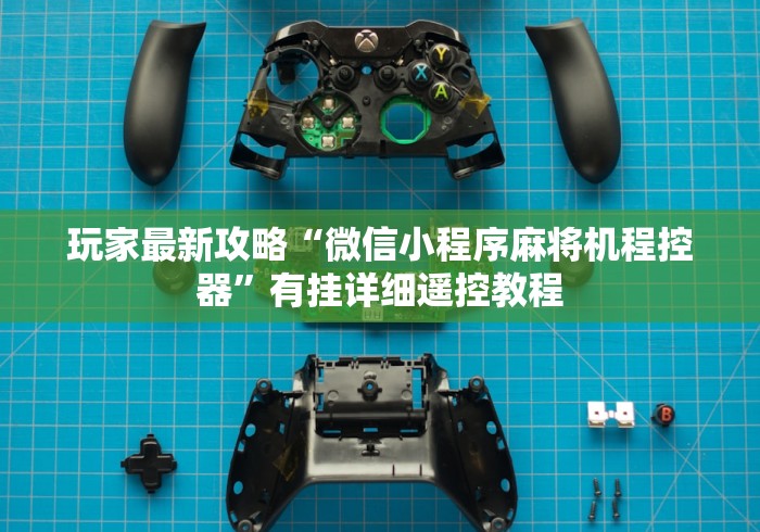 玩家最新攻略“微信小程序麻将机程控器”有挂详细遥控教程 玩家最新攻略“微信小程序麻将机程控器”有挂详细遥控教程