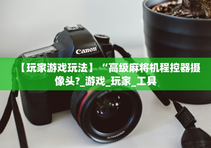 【玩家游戏玩法】“高级麻将机程控器摄像头?_游戏_玩家_工具