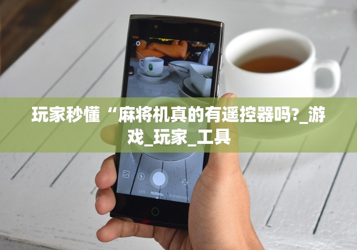 玩家秒懂“麻将机真的有遥控器吗?_游戏_玩家_工具