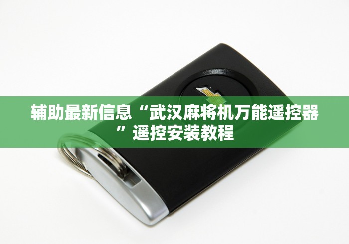 全新解说程序麻将机如何反遥控”原来可以遥控