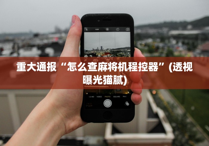 重大通报“怎么查麻将机程控器”(透视曝光猫腻)