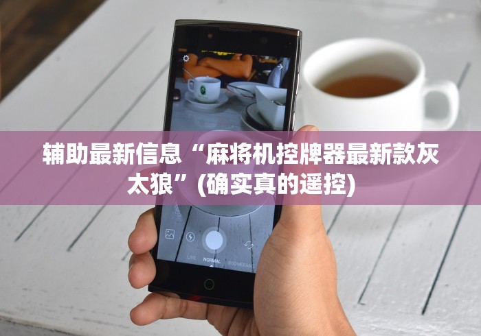 辅助最新信息“麻将机控牌器最新款灰太狼”(确实真的遥控) 辅助最新信息“麻将机控牌器最新款灰太狼”(确实真的遥控)