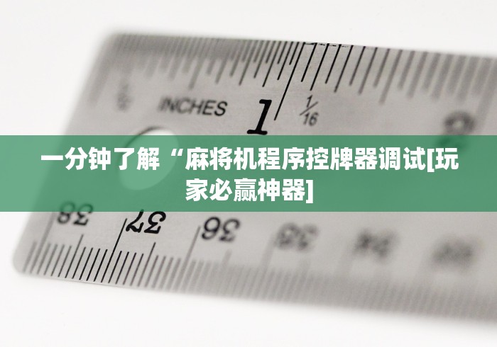 终于懂了“斗牛麻将机程序控牌器(专用辅牌神器免安装)