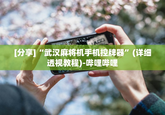 [分享]“武汉麻将机手机控牌器”(详细透视教程)-哔哩哔哩