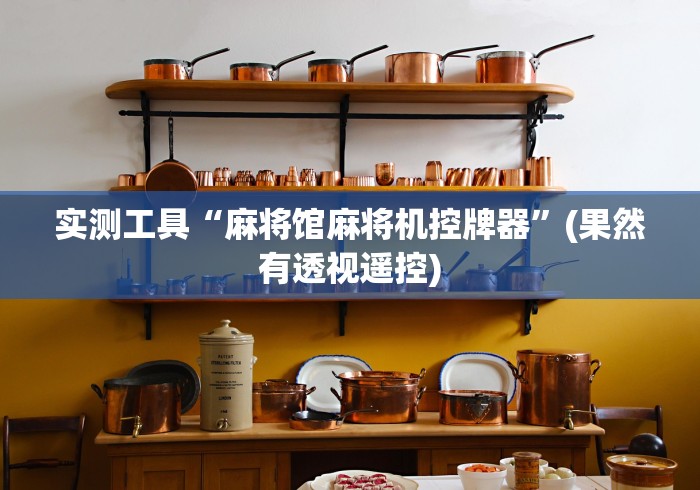 实测工具“麻将馆麻将机控牌器”(果然有透视遥控)