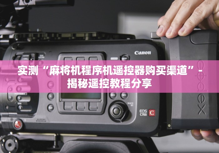 【今日头条】“程序麻将机遥控器反恐”(原来确实是有插件) 