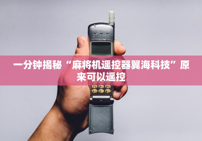 一分钟揭秘“麻将机遥控器翼海科技”原来可以遥控 一分钟揭秘“麻将机遥控器翼海科技”原来可以遥控