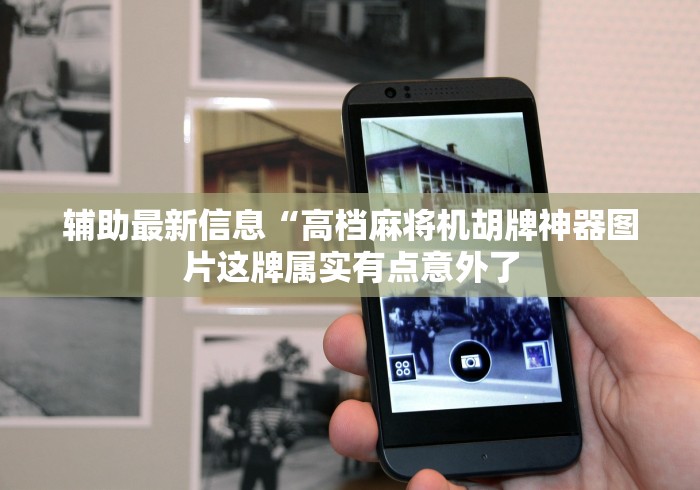 辅助最新信息“高档麻将机胡牌神器图片这牌属实有点意外了