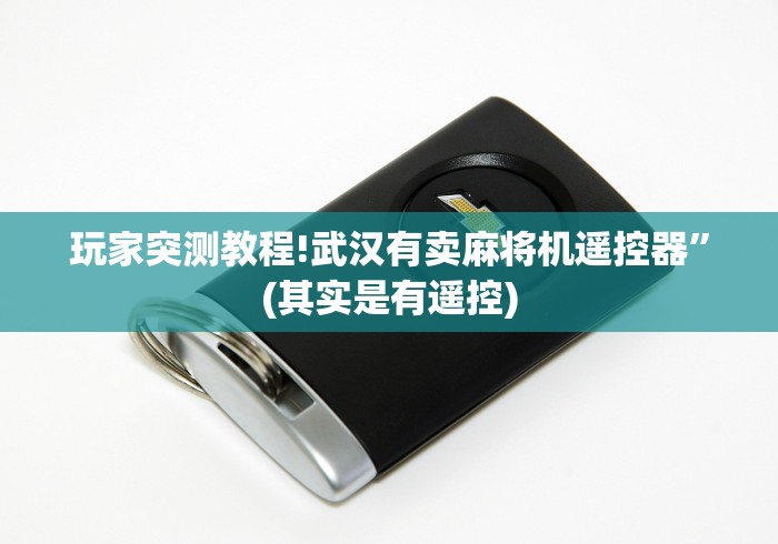 玩家必看攻略“免安装遥控器麻将机[玩家必赢神器]