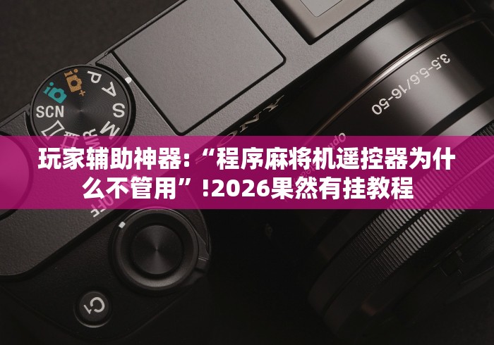 玩家辅助神器:“程序麻将机遥控器为什么不管用”!2026果然有挂教程