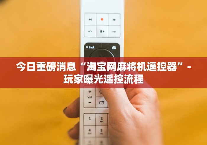 今日重磅消息“淘宝网麻将机遥控器”-玩家曝光遥控流程 今日重磅消息“淘宝网麻将机遥控器”-玩家曝光遥控流程