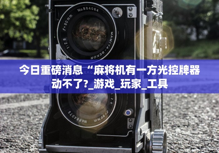今日重磅消息“麻将机有一方光控牌器动不了?_游戏_玩家_工具 今日重磅消息“麻将机有一方光控牌器动不了?_游戏_玩家_工具