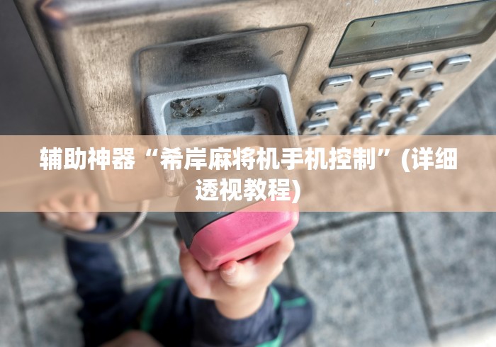 辅助神器“希岸麻将机手机控制”(详细透视教程)