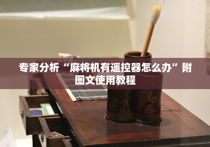 专家分析“麻将机有遥控器怎么办”附图文使用教程