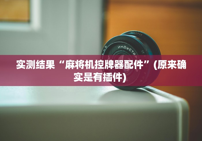 实测结果“麻将机控牌器配件”(原来确实是有插件) 