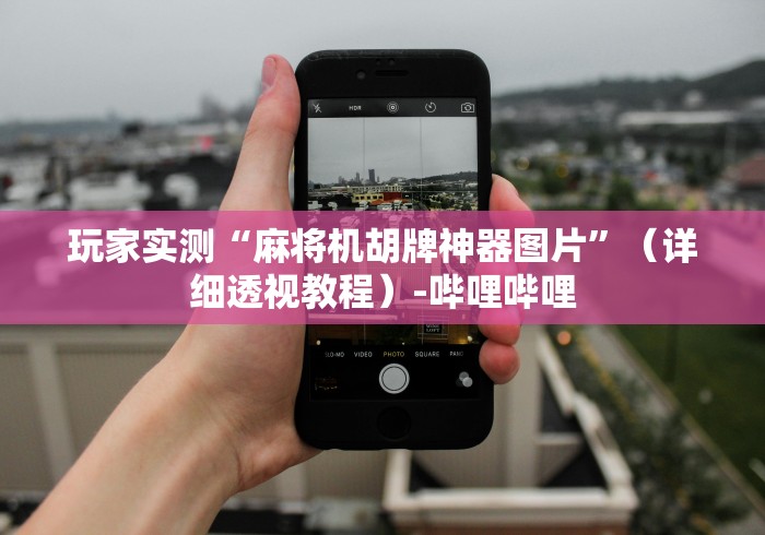 玩家实测“麻将机胡牌神器图片”（详细透视教程）-哔哩哔哩