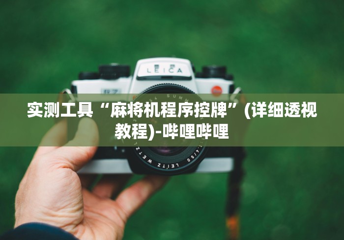 实测工具“麻将机程序控牌”(详细透视教程)-哔哩哔哩