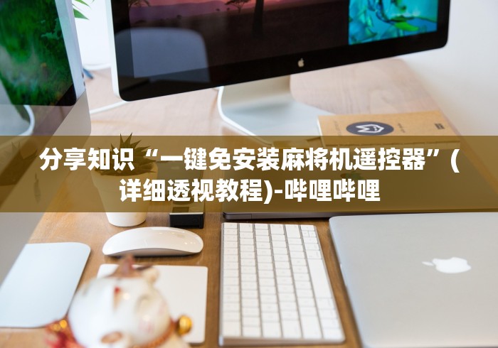 分享知识“一键免安装麻将机遥控器”(详细透视教程)-哔哩哔哩 分享知识“一键免安装麻将机遥控器”(详细透视教程)-哔哩哔哩