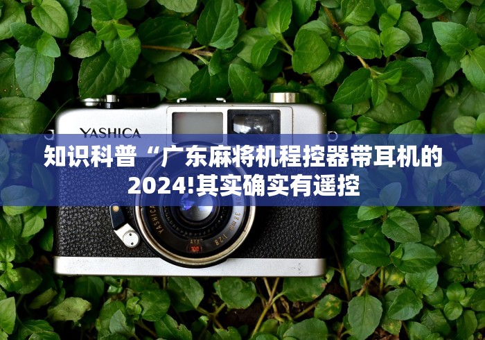 知识科普“广东麻将机程控器带耳机的2024!其实确实有遥控 知识科普“广东麻将机程控器带耳机的2024!其实确实有遥控