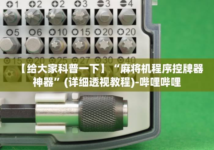 【给大家科普一下】“麻将机程序控牌器神器”(详细透视教程)-哔哩哔哩