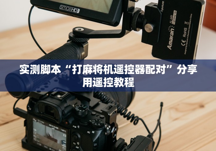 实测脚本“打麻将机遥控器配对”分享用遥控教程