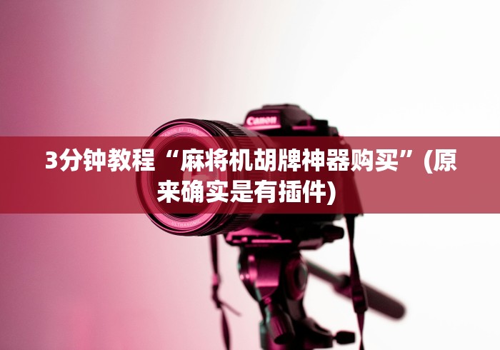 3分钟教程“麻将机胡牌神器购买”(原来确实是有插件) 