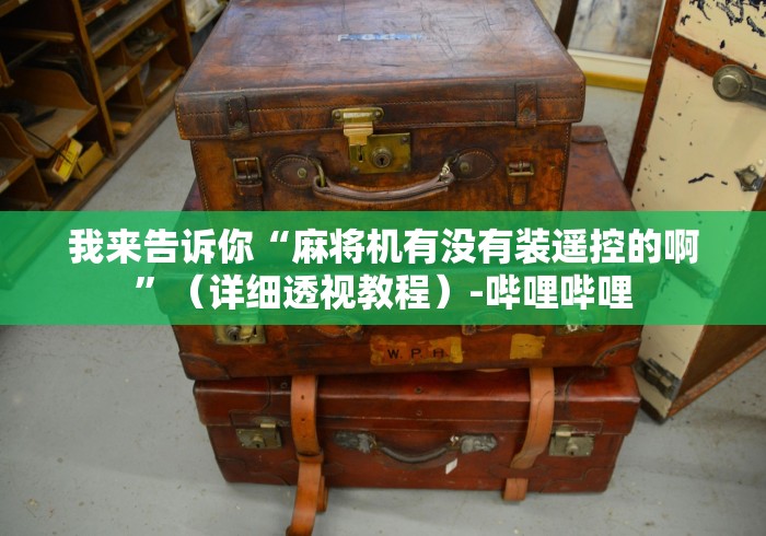 我来告诉你“麻将机有没有装遥控的啊”（详细透视教程）-哔哩哔哩