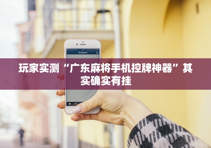 玩家必看教程“麻将机程控器被抓(专用辅牌神器免安装)