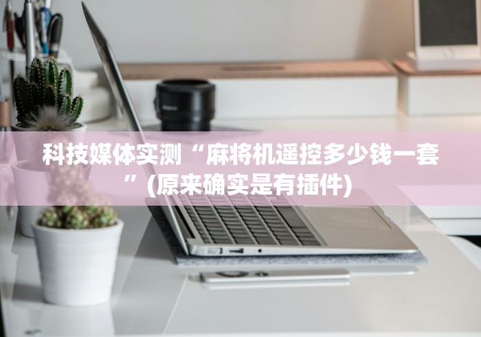科技媒体实测“麻将机遥控多少钱一套”(原来确实是有插件) 