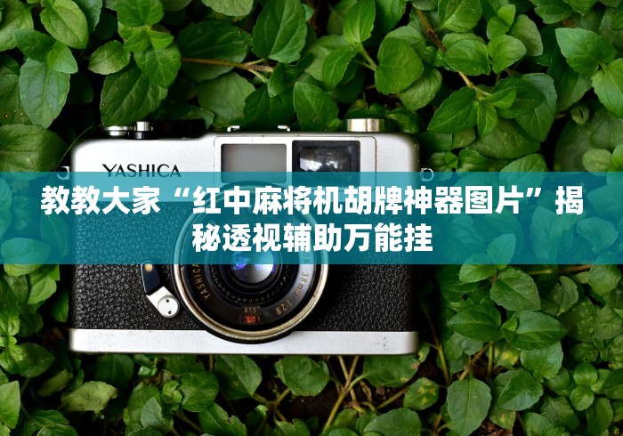 教教大家“红中麻将机胡牌神器图片”揭秘透视辅助万能挂