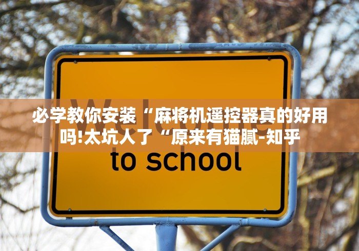 必学教你安装“麻将机遥控器真的好用吗!太坑人了“原来有猫腻-知乎 必学教你安装“麻将机遥控器真的好用吗!太坑人了“原来有猫腻-知乎