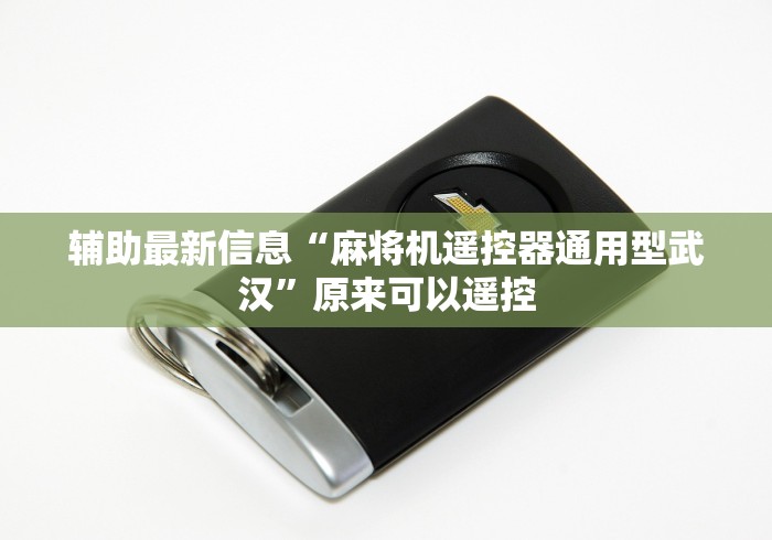 辅助最新信息“麻将机遥控器通用型武汉”原来可以遥控