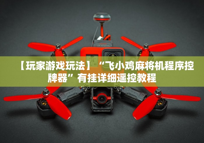 【玩家游戏玩法】“飞小鸡麻将机程序控牌器”有挂详细遥控教程