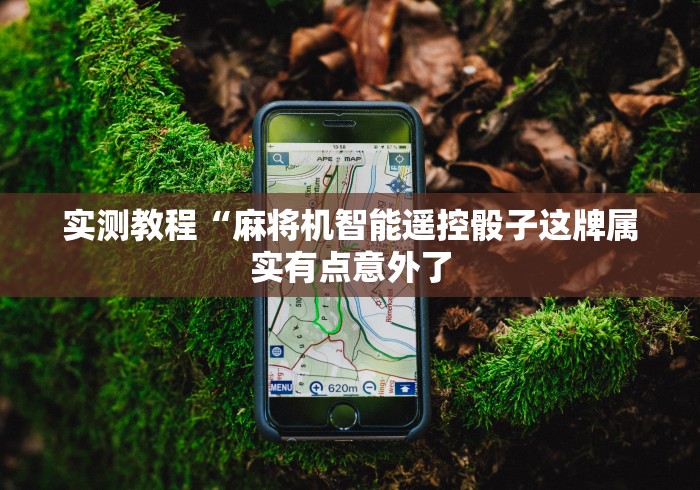 实测教程“麻将机智能遥控骰子这牌属实有点意外了 实测教程“麻将机智能遥控骰子这牌属实有点意外了