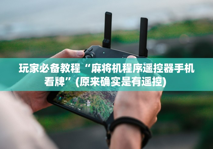 玩家必备教程“麻将机程序遥控器手机看牌”(原来确实是有遥控) 玩家必备教程“麻将机程序遥控器手机看牌”(原来确实是有遥控)