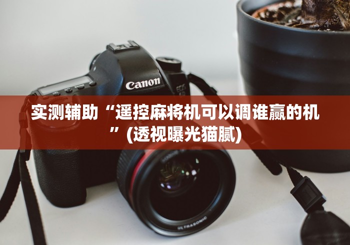 实测辅助“遥控麻将机可以调谁赢的机”(透视曝光猫腻) 实测辅助“遥控麻将机可以调谁赢的机”(透视曝光猫腻)