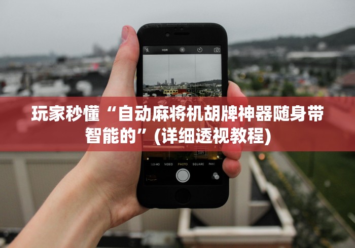 玩家秒懂“自动麻将机胡牌神器随身带智能的”(详细透视教程)