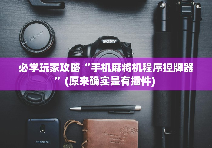 必学玩家攻略“手机麻将机程序控牌器”(原来确实是有插件) 必学玩家攻略“手机麻将机程序控牌器”(原来确实是有插件)